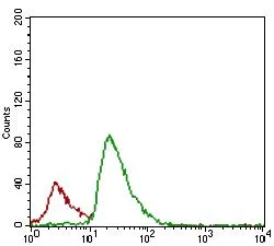 FACS analysis of JURKAT cells using GTX60781 FLIP antibody [7A3D12]. Green : FLIP Red : negative control