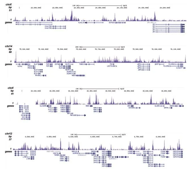 ChIP analysis of sheared chromatin from 1x10? K562 cells using GTX60812 Histone H2A.Z antibody - ChIP grade. The IPd DNA was subsequently analysed with an Illumina Genome Analyzer. Library preparation, cluster generation and sequencing were performed according to the manufacturers instructions. The 36 bp tags were aligned to the human genome (hg19) using the ELAND algorithm. Figure 2 shows the peak distribution in four genomic regions including the regions surrounding the EIF2S3 and c-fos positive control genes on chromosome X and 14, respectively (figure 2A and B). Antibody amount : 0.5microg