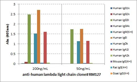 ELISA analysis of human immunoglobulins using GTX60872 Human Lambda Light Chain antibody [RM127].
