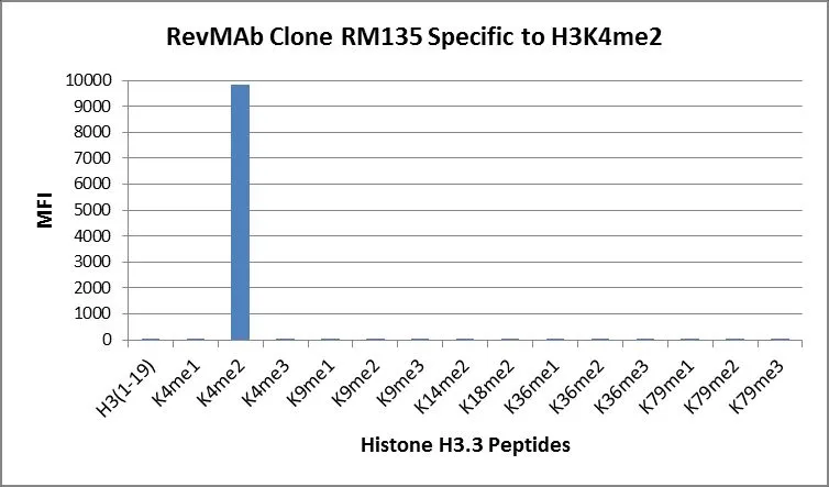 The GTX60875 reacts to Histone H3 dimethylated at Lysine 4 (K4me2). No cross reactivity with mono- methylated Lysine 4 (K4me1), trimethylated Lysine 4(K4me3), or other methylations in histone H3. The GTX60875 reacts to Histone H3 dimethylated at Lysine 4 (K4me2). No cross reactivity with mono- methylated Lysine 4 (K4me1), trimethylated Lysine 4(K4me3), or other methylations in histone H3.