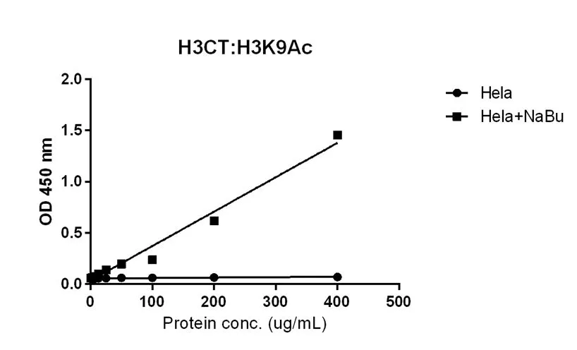 Sandwich ELISA analysis of HeLa cell treated or untreated with Sodium Butyrate lysates using GTX60888 Histone H3 antibody [RM188] (1 ug/mL) as the capture antibody and biotinylated GTX60885 Histone H3K9ac (Acetyl Lys9) antibody [RM161] (1 ug/mL) as the detection antibody. Please notice that GTX60885 needs to be conjugated to Biotin to function as the detection antibody when paired with GTX60888. Biotin-conjugated form is not provided.