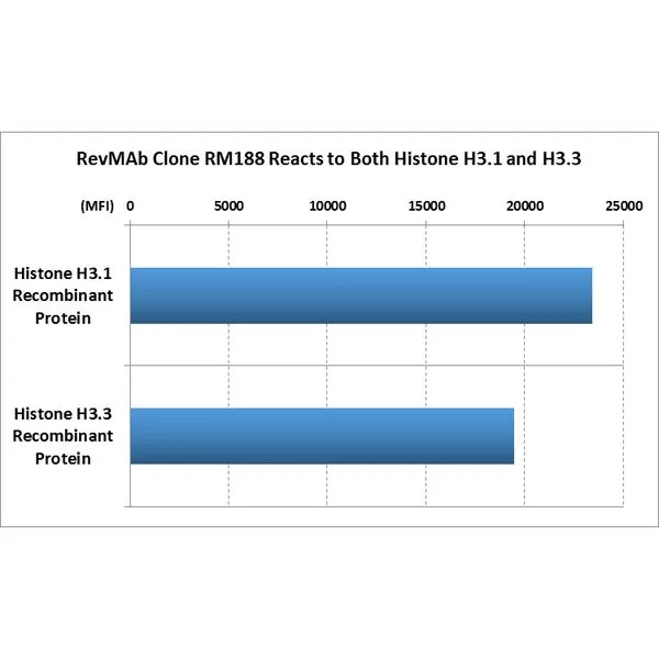 The GTX60888 reacts to both Histone H3.1 and Histone H3.3. The GTX60888 reacts to both Histone H3.1 and Histone H3.3.