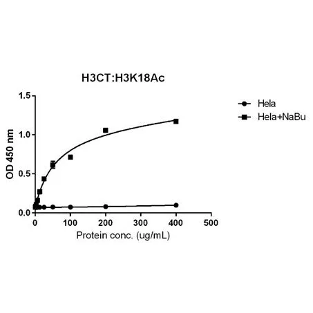 Sandwich ELISA analysis of HeLa cell treated or untreated with Sodium Butyrate lysates using biotinylated GTX60886 Histone H3K18ac (Acetyl Lys18) antibody [RM166] (2 ug/mL) as the detection antibody and GTX60888 Histone H3 antibody [RM188] (1 ug/mL) as the capture antibody. Please notice that GTX60886 needs to be conjugated to Biotin to function as the detection antibody when paired with GTX60888. Biotin-conjugated form is not provided.