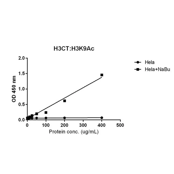 Sandwich ELISA analysis of HeLa cell treated or untreated with Sodium Butyrate lysates using biotinylated GTX60885 Histone H3K9ac (Acetyl Lys9) antibody [RM161] (1 ug/mL) as the detection antibody and GTX60888 Histone H3 antibody [RM188] (1 ug/mL) as the capture antibody. Please notice that GTX60885 needs to be conjugated to Biotin to function as the detection antibody when paired with GTX60888. Biotin-conjugated form is not provided.