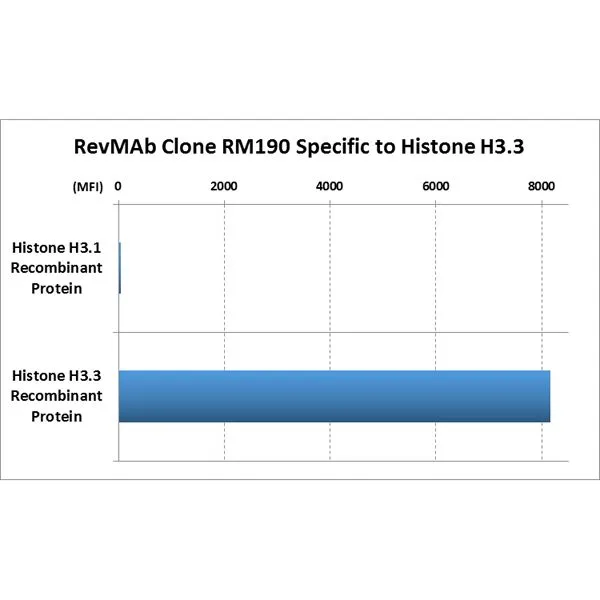 The GTX60889 reacts to Histone H3.3. No cross reactivity with Histone H3.1.