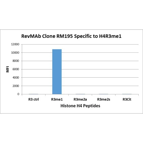 The GTX60904 reacts to Histone H4 mono-methylated at Arginine 3 (R3me1). No cross reactivity with unmodified Arg 3 (R3 ctrl), asymmetric dimethylatedArg 3 (R3me2a) or symmetric dimethylated Arg 3(R3me2s), and citrullinated Arg 3 (R3Cit) in Histone H4. The GTX60904 reacts to Histone H4 mono-methylated at Arginine 3 (R3me1). No cross reactivity with unmodified Arg 3 (R3 ctrl), asymmetric dimethylatedArg 3 (R3me2a) or symmetric dimethylated Arg 3(R3me2s), and citrullinated Arg 3 (R3Cit) in Histone H4.