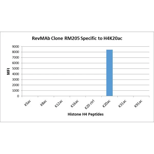 The GTX60908 reacts to Histone H4 acetylatedat Lysine 20 (K20ac). No cross reactivity with unmodified Lysine 20 (K20 ctrl), acetylated Lysine 5 (K5ac), Lysine 8 (K8ac), Lysine 12 (K12ac), Lysine 16(K20ac), Lysine 31 (K31ac), or Lysine 91 (K91) in Histone H4. The GTX60908 reacts to Histone H4 acetylatedat Lysine 20 (K20ac). No cross reactivity with unmodified Lysine 20 (K20 ctrl), acetylated Lysine 5 (K5ac), Lysine 8 (K8ac), Lysine 12 (K12ac), Lysine 16(K20ac), Lysine 31 (K31ac), or Lysine 91 (K91) in Histone H4.