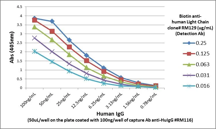 ELISA analysis of different amounts of human IgG proteins using GTX60861 Human Gamma Heavy Chain antibody [RM116] as capture antibody and GTX60920 Human Ig Light Chains antibody [RM129] (Biotin) as detection antibody.