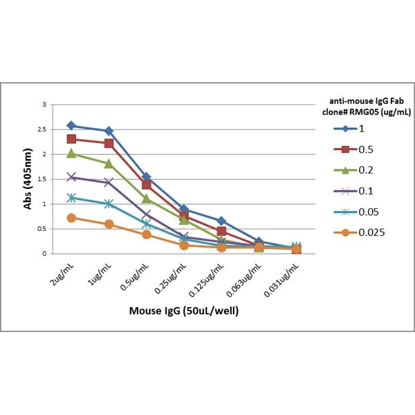 ELISA analysis of different amount of immunogen proteins using serial diluted GTX60923 Goat Anti-Mouse IgG (Fab) antibody [RMG05].