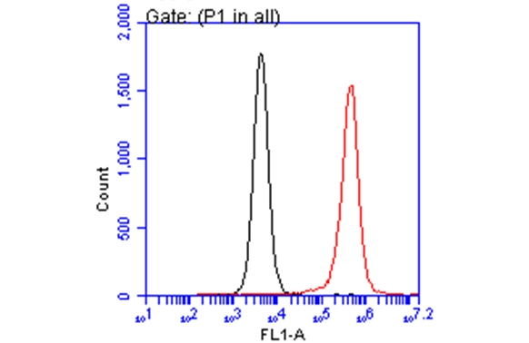 ARID5A antibody [GT18112] (GTX631940) detects ARID5A protein by flow cytometry analysis.