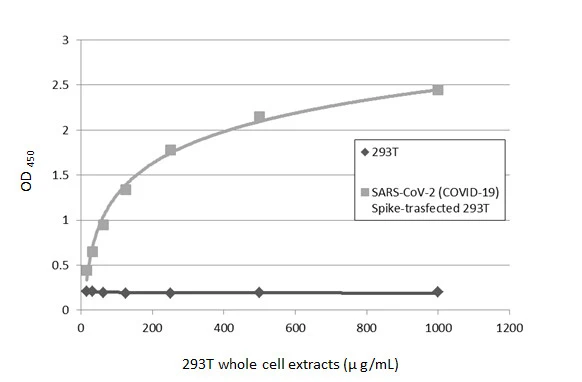 コロナin 第1類医薬品】【使用期限：2026年11月以降】一般用新型コロナ