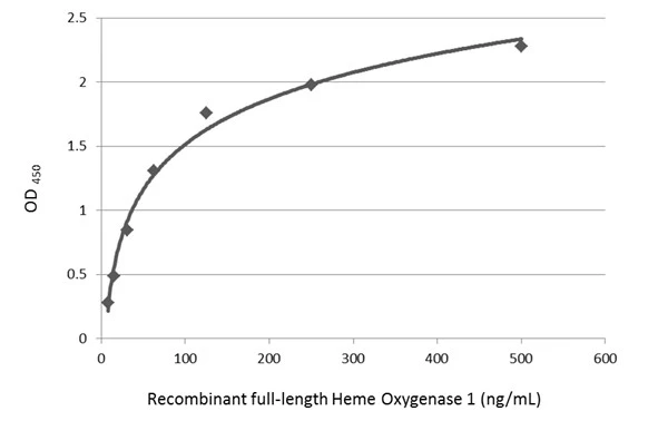 Sandwich ELISA detection of recombinant full-length Heme Oxygenase 1 protein using GTX633693 as capture antibody at concentration of 5 μg/mL and GTX101147 as detection antibody at concentration of 1 μg/mL. Rabbit IgG antibody (HRP) (GTX213110-01) was diluted at 1:10000 and used to detect the primary antibody.