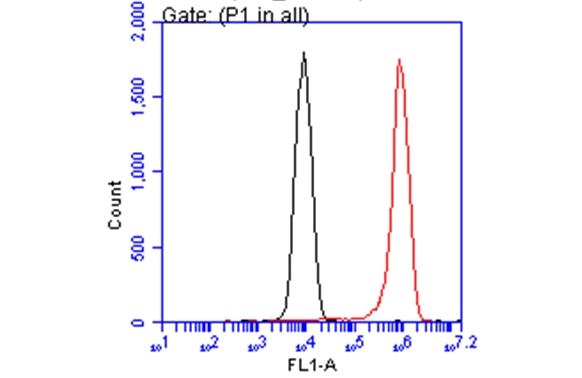 Arginase 1 antibody [GT5811] (GTX634218) detects Arginase 1 protein by flow cytometry analysis.