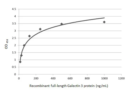 Sandwich ELISA detection of recombinant full-length Galectin 3 protein using GTX635151 as capture antibody at concentration of 5 μg/mL and GTX113486 as detection antibody at concentration of 1 μg/mL. Rabbit IgG antibody (HRP) (GTX213110-01) was diluted at 1:10000 and used to detect the primary antibody.
