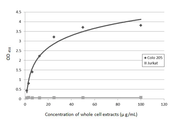 CA19-9 antibody [GT8510]