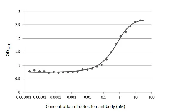 Anti-SARS-CoV-2 (COVID-19) Spike S1 antibody [HL6
