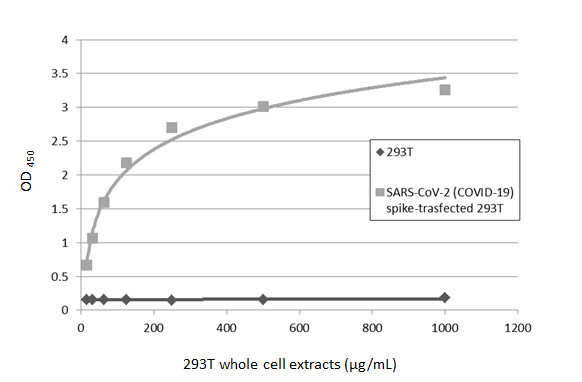 GTX635656 ELISA Image