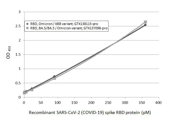 Sandwich ELISA detection of recombinant Spike RBD Protein(s) derived from different strains of SARS-CoV-2 virus (ie., Wild type; BA.4/ BA.5 Omicron variant; Omicron / XBB variant) using antibodies as below. Capture: SARS-CoV-2 (COVID-19) Spike RBD antibody [HL1014] (GTX635807) (5 μg/mL) Detection: SARS-CoV-2 (COVID-19) Spike RBD antibody [HL1004] (HRP) (GTX635793-01) (1 μg/mL)