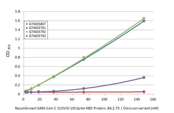 Indirect ELISA analysis was performed by coating the plate with recombinant SARS-CoV-2 (COVID-19) Spike RBD Protein, Omicron / BA.2.75 variant, His tag (GTX137422-pro) (148.15-2.31 nM). Coated protein was probed with the specified SARS-CoV-2 (COVID-19) Spike RBD antibodies (1 μg/mL). Goat anti-rabbit IgG antibody (HRP) (GTX213110-01) (1:10000) was used to detect the bound primary antibody.
