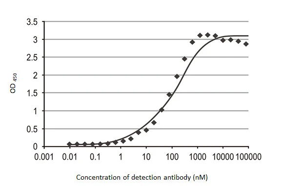 Indirect ELISA analysis performed by coating plate with recombinant full-length SARS-CoV-2 (COVID-19) nucleocapsid protein, His tag protein (GTX135592-pro) (50 ng). Coated protein probed with SARS-CoV-2 (COVID-19) nucleocapsid antibody [GT113] (GTX635808) (8*10 3 -9.5*10 -3 nM). Rabbit IgG antibody (HRP) (GTX213110-01) (1:10000) detected bound primary antibody. EC50 : 82.34 nM