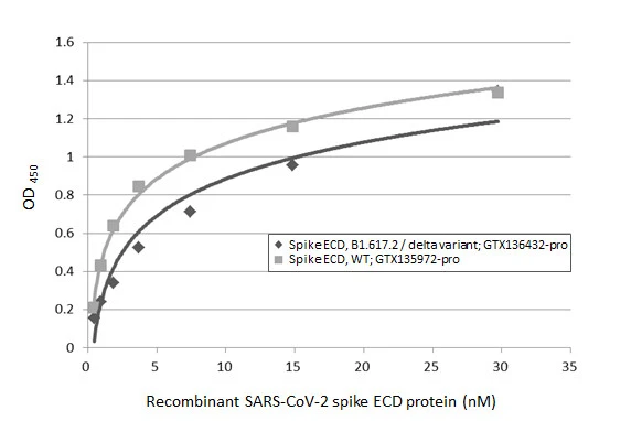 Indirect ELISA analysis performed by coating plate with recombinant Spike ECD protein(s) derived from different strains of SARS-CoV-2 virus (ie., Wild type; B1.617.2 delta variant) (29.71-0.46 nM). Coated protein was probed with SARS-CoV-2 (COVID-19) Spike RBD antibody [HL1003-HU] (GTX635866) (1 μg/mL). Human IgG antibody (HRP) (1:200000) was used to detect bound primary antibody.