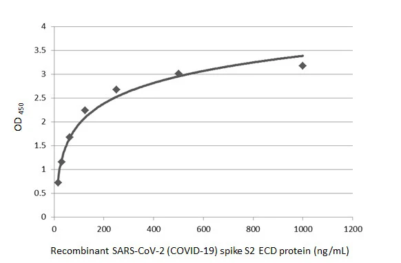 Sandwich ELISA detection of recombinant SARS-CoV-2 (COVID-19) Spike S2 (ECD) protein, human IgG Fc tag (GTX01559-pro) using SARS-CoV-2 (COVID-19) Spike S2 antibody [GT8110] (GTX636038) as capture antibody at concentration of 5 μg/mL and SARS-CoV-2 (COVID-19) Spike S2 antibody [HL1038] (GTX635910) as detection antibody at concentration of 1 μg/mL. Rabbit IgG antibody (HRP) (GTX213110-01) was diluted at 1:10000 and used to detect the primary antibody.