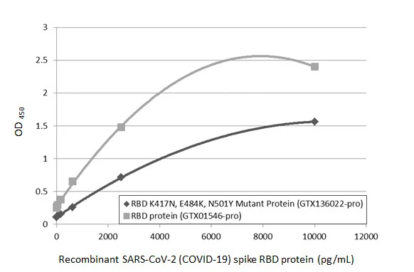 Sandwich ELISA detection of recombinant SARS-CoV-2 (COVID-19) Spike RBD (K417N, E484K, N501Y Mutant) protein, His tag (active) (GTX136022-pro) and SARS-CoV-2 (COVID-19) Spike RBD protein, His tag (active) (GTX01546-pro) using SARS-CoV-2 (COVID-19) Spike RBD antibody [GT5449] (GTX636042) as capture antibody at concentration of 5 microg/mL and SARS-CoV-2 (COVID-19) Spike RBD antibody [HL1014] (GTX635807) as detection antibody at concentration of 1 microg/mL. Rabbit IgG antibody (HRP) (GTX213110-01) was diluted at 1:10000 and used to detect the primary antibody.