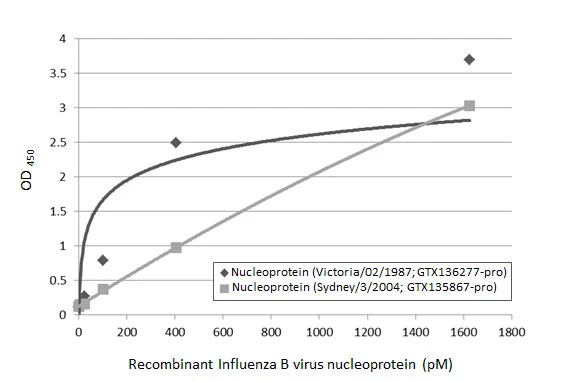 Sandwich ELISA detection of recombinant nucleoproteins (NP) derived from different strains of Influenza B virus (i.e., B/Sydney/3/2004; B/Victoria/02/1987) using antibodies as below. Capture : Influenza B virus Nucleoprotein antibody [HL1068] (GTX636099) (5 microg/mL) Detection: HRP-conjugated Influenza B virus Nucleoprotein antibody [HL1069] (GTX636100) (1 microg/mL). Please notice that GTX636100 needs to be conjugated to HRP to function as the detection antibody when paired with GTX636099. Please contact us for custom HRP-conjugated antibody.