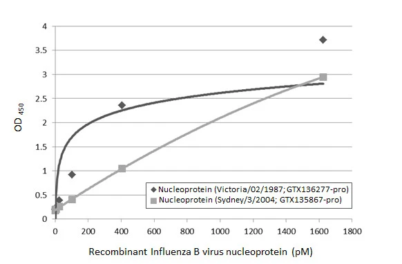 Sandwich ELISA detection of recombinant nucleoproteins (NP) derived from different strains of Influenza B virus (i.e., B/Sydney/3/2004; B/Victoria/02/1987) using antibodies as below. Capture: Influenza B virus Nucleoprotein antibody [HL1073] (GTX636194) (5 microg/mL) Detection: HRP-conjugated Influenza B virus Nucleoprotein antibody [HL1069] (GTX636100) (1 microg/mL). Please notice that GTX636100 needs to be conjugated to HRP to function as the detection antibody when paired with GTX636194. Please contact us for custom HRP-conjugated antibody.