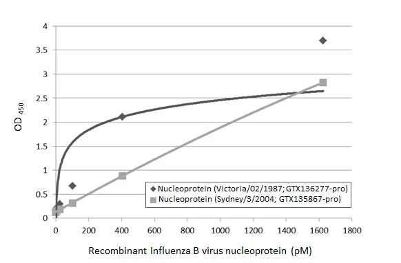 Sandwich ELISA detection of recombinant nucleoproteins (NP) derived from different strains of Influenza B virus (i.e., B/Sydney/3/2004; B/Victoria/02/1987) using antibodies as below. Capture: Influenza B virus Nucleoprotein antibody [HL1073] (GTX636194) (5 microg/mL) Detection: HRP-conjugated Influenza B virus Nucleoprotein antibody [HL1068] (GTX636099) (1 microg/mL). Please notice that GTX636099 needs to be conjugated to HRP to function as the detection antibody when paired with GTX636194. Please contact us for custom HRP-conjugated antibody.