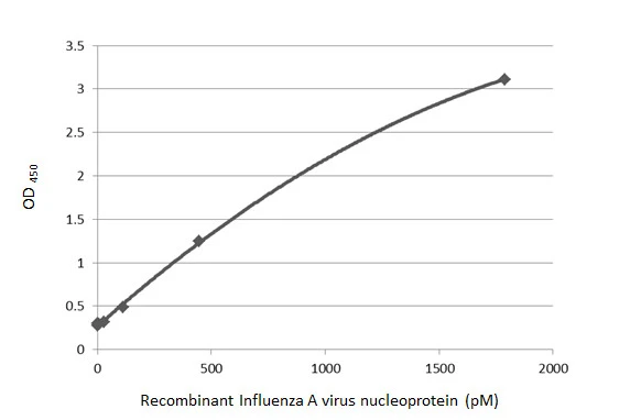 Sandwich ELISA detection of recombinant Influenza A virus Nucleoprotein protein (A/California/2009 (H1N1)), DDDDK Tag (GTX135904-pro) using antibodies as below. Capture: Influenza A virus Nucleoprotein antibody [HL1098] (GTX636282) (5 μg/mL) Detection: HRP-conjugated Influenza A virus Nucleoprotein antibody [HL1103] (GTX636318) (1 μg/mL) Please notice that GTX636318 needs to be conjugated to HRP to function as the detection antibody when paired with GTX636282. Please contact us for custom HRP-conjugated antibody.