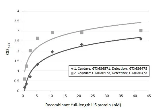 IL6 antibody [GT519-1]
