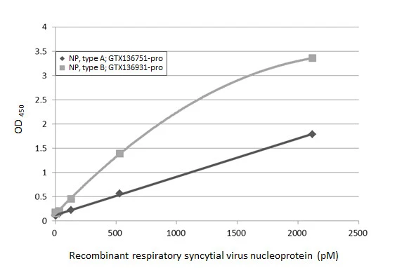 Sandwich ELISA detection of recombinant nucleoproteins (NP) derived from different strains of respiratory syncytial virus (i.e., type A; type B) using antibodies as below. Capture: Respiratory Syncytial virus Nucleoprotein antibody [HL1245] (GTX636647) (5 μg/mL) Detection: HRP-conjugated Respiratory Syncytial virus Nucleoprotein antibody [HL1291] (GTX636705) (1 μg/mL) Please notice that GTX636705 needs to be conjugated to HRP to function as the detection antibody when paired with GTX636647. Please contact us for custom HRP-conjugated antibody.