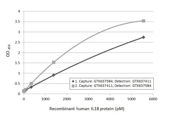 Sandwich ELISA detection of recombinant E.coli expressed, full-length human IL18 protein, His tag (GTX00227-pro) using antibodies as below. Capture: IL18 antibody [HL1859] (GTX637584) and IL18 antibody [HL1761] (GTX637411) (5 μg/mL) Detection: HRP-conjugated IL18 antibody [HL1859] (GTX637584), IL18 antibody [HL1761] (GTX637411) and IL18 antibody [HL2523] (GTX638884) (1 μg/mL) Please notice that GTX637584 needs to be conjugated to HRP to function as the detection antibody when paired with GTX637411. Please contact us for custom HRP-conjugated antibody.