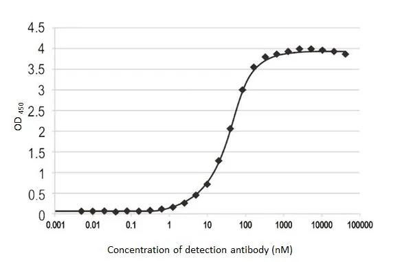 Indirect ELISA analysis was performed by coating the plate with recombinant HEK293 expressed, full-length EPO protein, His tag (50 ng). Coated protein was probed with EPO antibody [HL2752] (GTX639615) (40960-4.88*10 -3 nM). Goat anti-rabbit IgG antibody (HRP) (GTX213110-01) (1:10000) was used to detect the bound primary antibody. EC50 : 36.04 nM