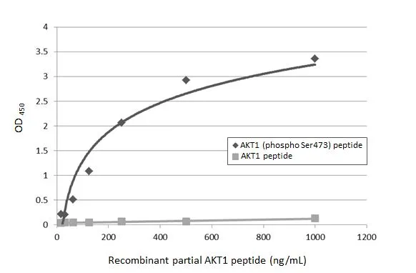 Specificity test analysis was performed by coating the plate with recombinant AKT1 peptide and AKT1 (phospho Ser473) peptide (1000-15.63 ng/mL). Coated protein was probed with AKT (phospho Ser473) antibody [HL2971] (GTX640358) (1 μg/mL). Goat anti-rabbit IgG antibody (HRP) (GTX213110-01) (1:10000) was used to detect the bound primary antibody.