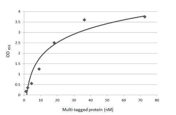 DDDDK tag antibody [M2-RB]
