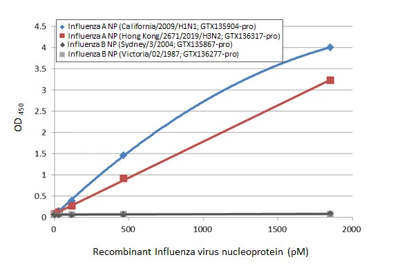 Sandwich ELISA detection of recombinant nucleoproteins (NP) derived from different strains of Influenza A virus (i.e., A/California/2009 (H1N1); A/Hong Kong/2671/2019 (H3N2)) and Influenza B virus (i.e., B/Sydney/3/2004; B/Victoria/02/1987) using antibodies as below. Capture: Influenza A virus Nucleoprotein antibody [GT23] (GTX641086) (5 μg/mL) Detection: HRP-conjugated Influenza A virus Nucleoprotein antibody [HL1078] (GTX636199) (1 μg/mL)