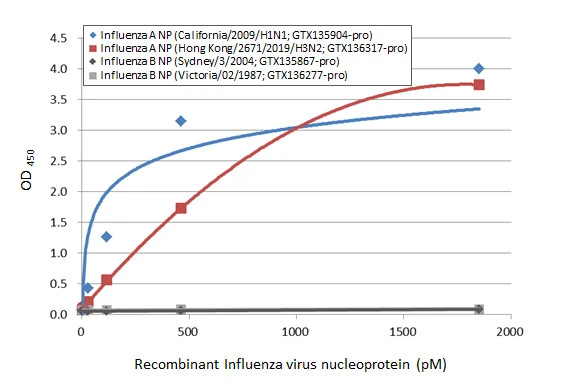 Sandwich ELISA detection of recombinant nucleoproteins (NP) derived from different strains of Influenza A virus (i.e., A/California/2009 (H1N1); A/Hong Kong/2671/2019 (H3N2)) and Influenza B virus (i.e., B/Sydney/3/2004; B/Victoria/02/1987) using antibodies as below. Capture: Influenza A virus Nucleoprotein antibody [GT23] (GTX641086) (5 μg/mL) Detection: HRP-conjugated Influenza A virus Nucleoprotein antibody [HL1098] (GTX636282) (1 μg/mL)
