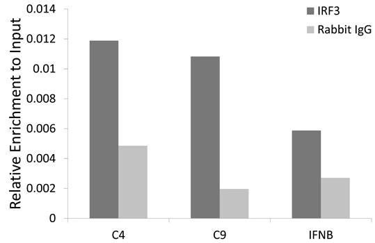 ChIP analysis of HCT116 cell lysate using GTX64358 IRF3 antibody. The amount of immunoprecipitated DNA was checked by quantitative PCR. Histogram was constructed by the ratios of the immunoprecipitated DNA to the input. ChIP analysis of HCT116 cell lysate using GTX64358 IRF3 antibody. The amount of immunoprecipitated DNA was checked by quantitative PCR. Histogram was constructed by the ratios of the immunoprecipitated DNA to the input.