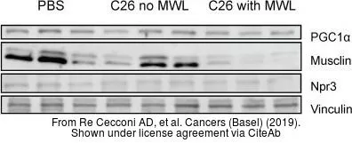 The data was published in the journal Cancers (Basel) in 2019.PMID: 31614775