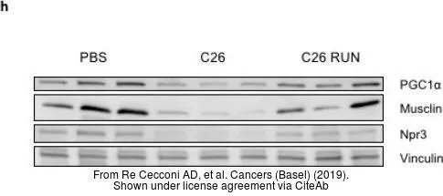 The data was published in the journal Cancers (Basel) in 2019.PMID: 31614775