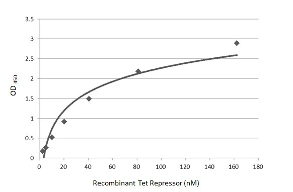 Tet Repressor antibody