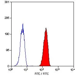 FACS analysis of human peripheral blood granulocytes using GTX74626 CD32 antibody [AT10] (FITC).