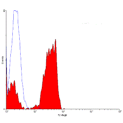 Staining of human peripheral blood lymphocytes with Mouse anti Human CD2 (GTX28360)