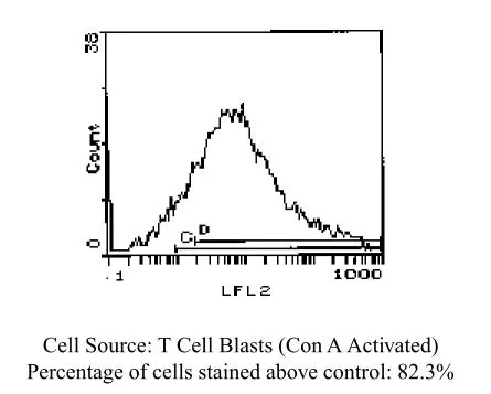 FACS analysis of Con A activated T cell blasts using CD25 antibody [PC61.5.3.] (PE).