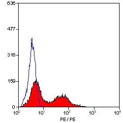 FACS analysis of human peripheral blood lymphocytes using GTX74882 CD26 antibody [M-A261] (PE).