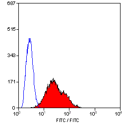 Staining of rat thymus cells with Mouse anti Rat CD28:FITC (GTX74892)