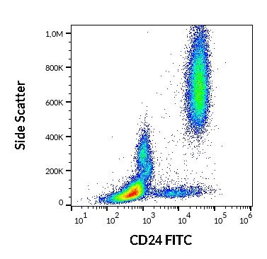 Staining of human peripheral blood granulocytes with Mouse anti Human CD24:FITC (GTX74946)