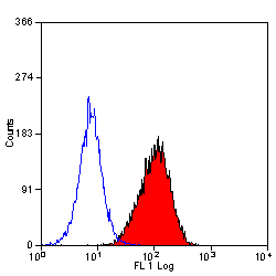 Staining of mouse bone marrow cells with Rat anti Mouse CD34:FITC (GTX75411)